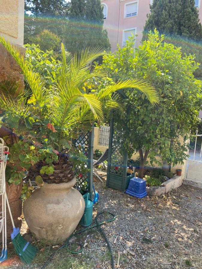 Apartament Jardin D'Eden Saint-Raphaël Zewnętrze zdjęcie